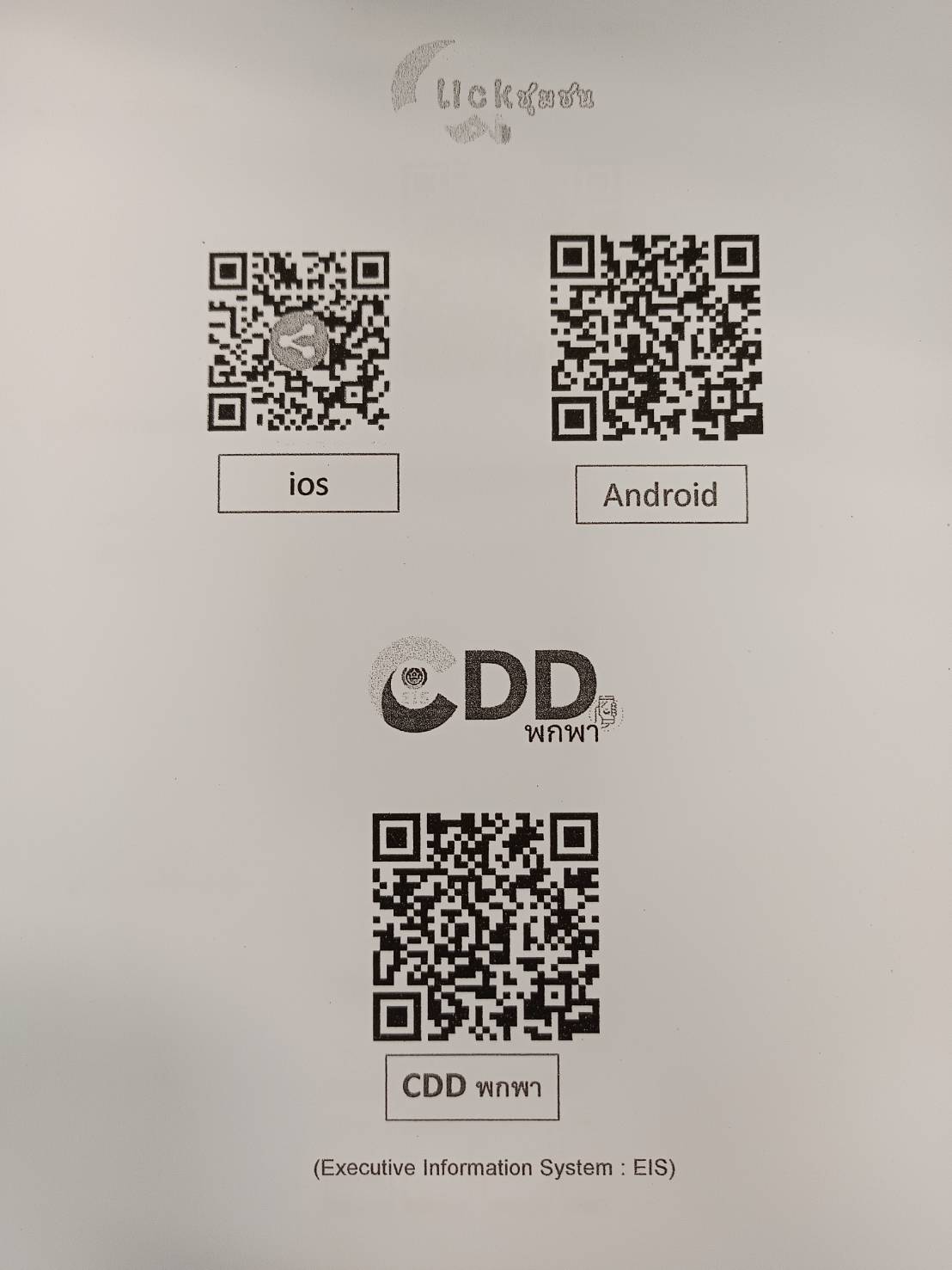 cdd1