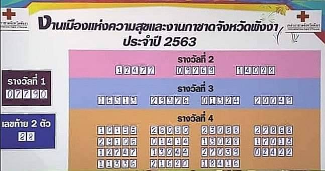 316133