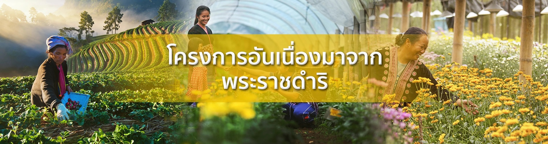 คก.พระราชดำร