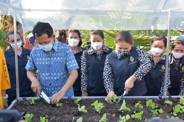 จังหวัดพังาน้อมนำแนวพระราชดำริของเศรษฐกิจพอเพียง ปลูกผักในจวนผู้ว่าเป็นแบบอย่างการสร้างความมั่นคงทางอาหาร