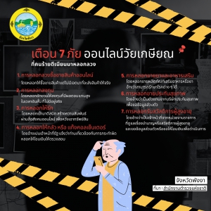 เตือน 7 ภัย ออนไลน์วัยเกษียณ